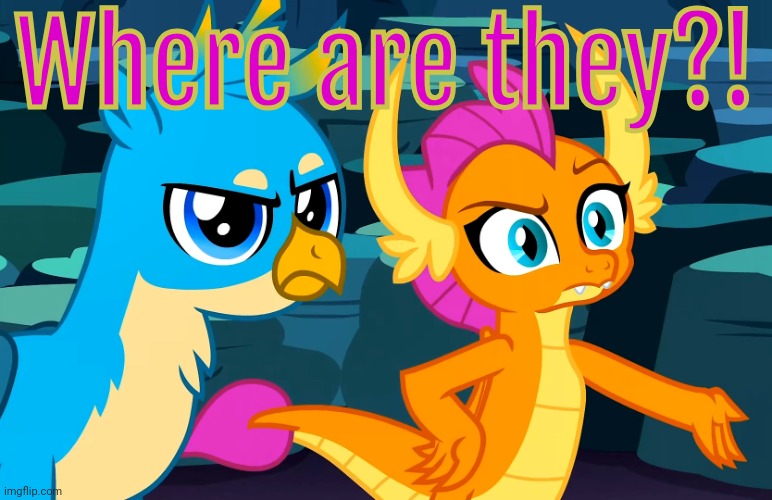You Did This (MLP) | Where are they?! | image tagged in you did this mlp | made w/ Imgflip meme maker