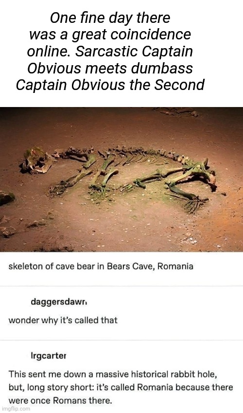 Misunderstand sarcasm and subject | One fine day there was a great coincidence online. Sarcastic Captain Obvious meets dumbass Captain Obvious the Second | image tagged in drsarcasm,sarcasm,captain obvious,obvious,dumbass,bear | made w/ Imgflip meme maker