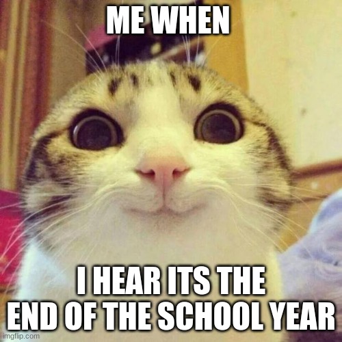 me | ME WHEN; I HEAR ITS THE END OF THE SCHOOL YEAR | image tagged in memes,smiling cat | made w/ Imgflip meme maker