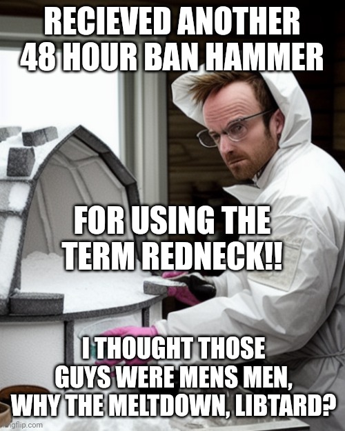 Libtard is perfectly acceptable! | RECIEVED ANOTHER 48 HOUR BAN HAMMER; FOR USING THE TERM REDNECK!! I THOUGHT THOSE GUYS WERE MENS MEN, WHY THE MELTDOWN, LIBTARD? | image tagged in snowcones | made w/ Imgflip meme maker