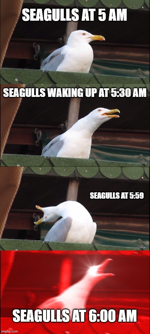 Inhaling Seagull | SEAGULLS AT 5 AM; SEAGULLS WAKING UP AT 5:30 AM; SEAGULLS AT 5:59; SEAGULLS AT 6:00 AM | image tagged in memes,inhaling seagull | made w/ Imgflip meme maker