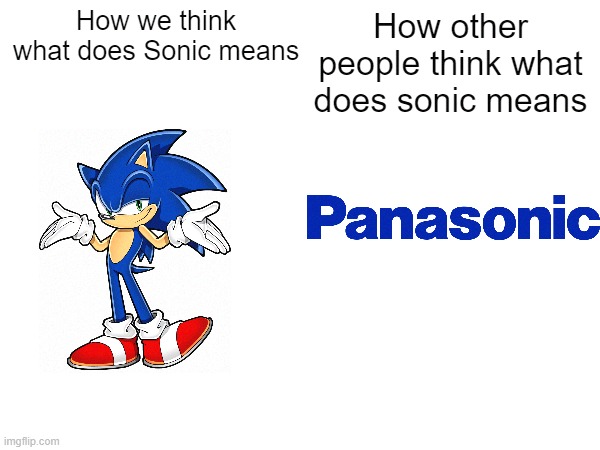why- | How we think what does Sonic means; How other people think what does sonic means | image tagged in sonic the hedgehog,sonic,memes,funny,funny memes | made w/ Imgflip meme maker