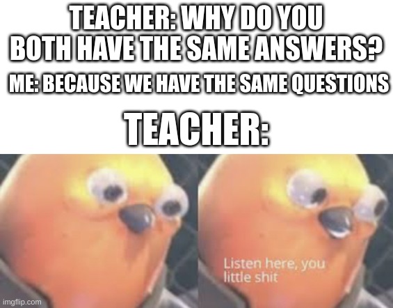 Listen here you little shit bird | TEACHER: WHY DO YOU BOTH HAVE THE SAME ANSWERS? ME: BECAUSE WE HAVE THE SAME QUESTIONS; TEACHER: | image tagged in listen here you little shit bird | made w/ Imgflip meme maker