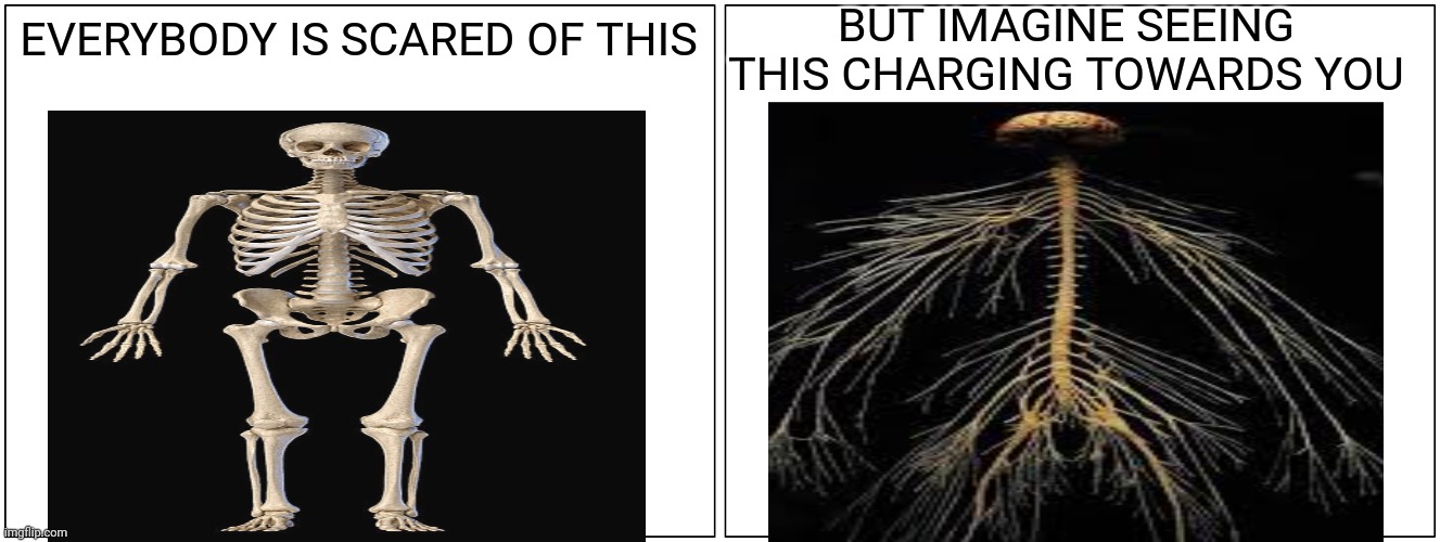 Blank Comic Panel 2x1 Meme | BUT IMAGINE SEEING THIS CHARGING TOWARDS YOU; EVERYBODY IS SCARED OF THIS | image tagged in memes,blank comic panel 2x1,cursed,trauma,skeleton | made w/ Imgflip meme maker