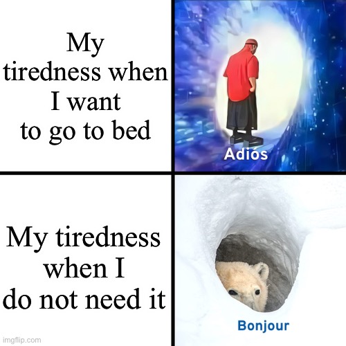 (Insert random title here) | My tiredness when I want to go to bed; My tiredness when I do not need it | image tagged in adios bonjour,memes,bed | made w/ Imgflip meme maker