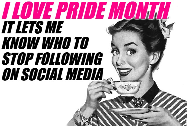 Love is Sassy Housewife | I LOVE PRIDE MONTH; IT LETS ME KNOW WHO TO STOP FOLLOWING ON SOCIAL MEDIA | image tagged in 1950s housewife,pride month,love is love,sassy,funny memes,social media | made w/ Imgflip meme maker