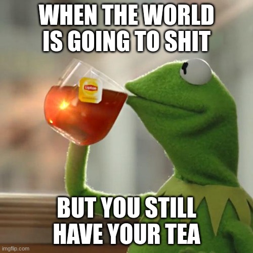 But That's None Of My Business Meme | WHEN THE WORLD IS GOING TO SHIT; BUT YOU STILL HAVE YOUR TEA | image tagged in memes,but that's none of my business,kermit the frog | made w/ Imgflip meme maker