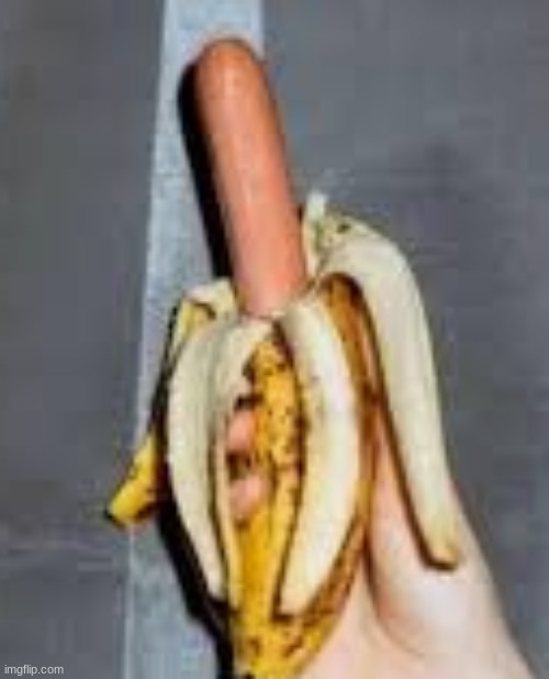Banana dog | image tagged in cursed image,memes | made w/ Imgflip meme maker