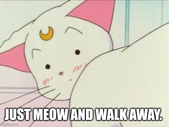 JUST MEOW AND WALK AWAY. | image tagged in sailor moon | made w/ Imgflip meme maker