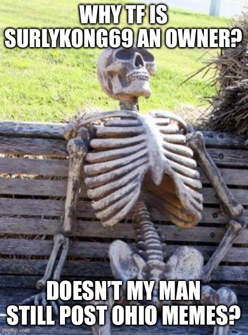 Waiting Skeleton | WHY TF IS SURLYKONG69 AN OWNER? DOESN’T MY MAN STILL POST OHIO MEMES? | image tagged in memes,waiting skeleton | made w/ Imgflip meme maker
