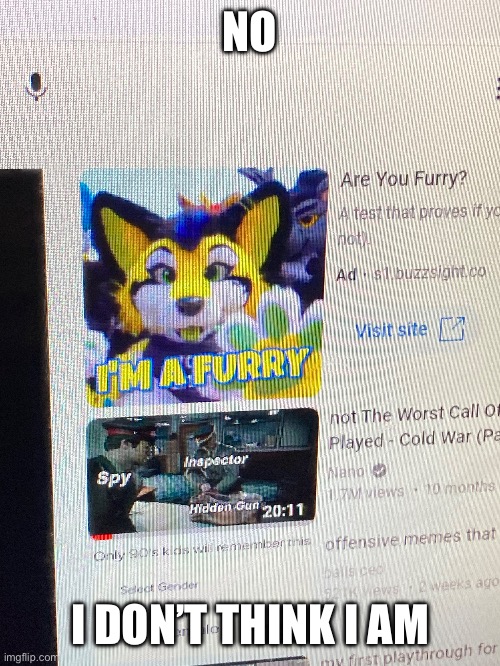 Are YOU??!! | NO; I DON’T THINK I AM | image tagged in anti furry,memes,youtube | made w/ Imgflip meme maker