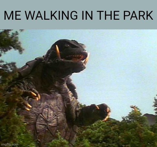 Gamera goes to the park | ME WALKING IN THE PARK | image tagged in gamera in woods | made w/ Imgflip meme maker