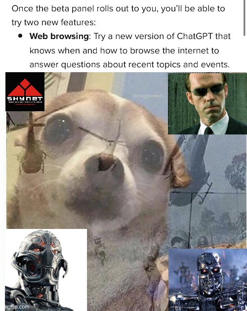 Chat GPT update | image tagged in ptsd chihuahua | made w/ Imgflip meme maker