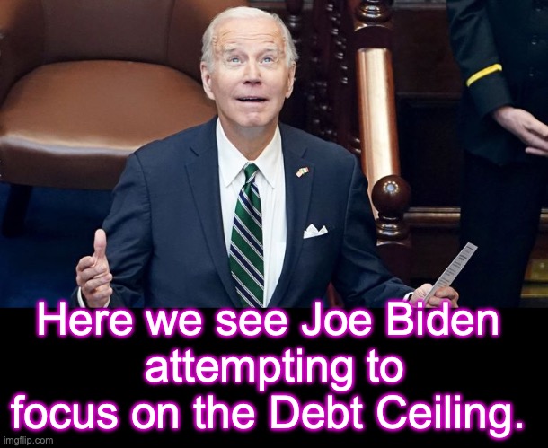 [warning: ophthalmologic satire] | Here we see Joe Biden
 attempting to focus on the Debt Ceiling. | image tagged in joe biden,national debt,debt,ceiling | made w/ Imgflip meme maker