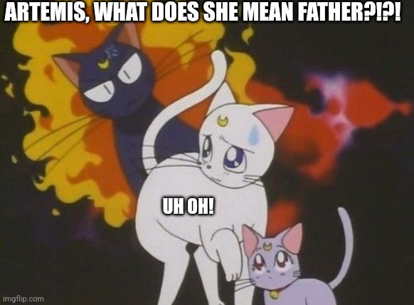 ARTEMIS, WHAT DOES SHE MEAN FATHER?!?! UH OH! | image tagged in sailor moon | made w/ Imgflip meme maker