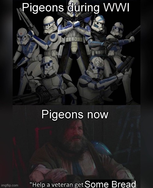 Some pigeons are actually war heros | made w/ Imgflip meme maker