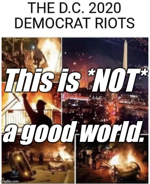 2020 'liberal' RIOTS | This is *NOT* a good world. | image tagged in 2020 'liberal' riots | made w/ Imgflip meme maker