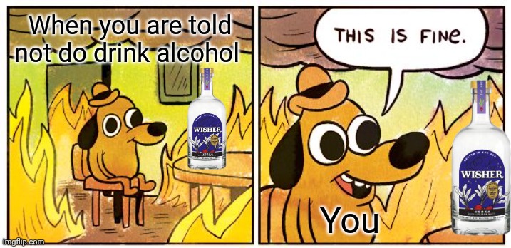 Wowowowowowowowowowowowowowowowowowowowowoww | When you are told not do drink alcohol; You | image tagged in memes,this is fine | made w/ Imgflip meme maker