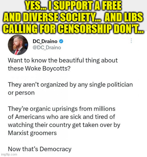 YES... I SUPPORT A FREE AND DIVERSE SOCIETY...  AND LIBS CALLING FOR CENSORSHIP DON'T... | made w/ Imgflip meme maker