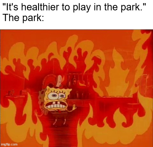 Burning Spongebob | "It's healthier to play in the park."
The park: | image tagged in burning spongebob | made w/ Imgflip meme maker