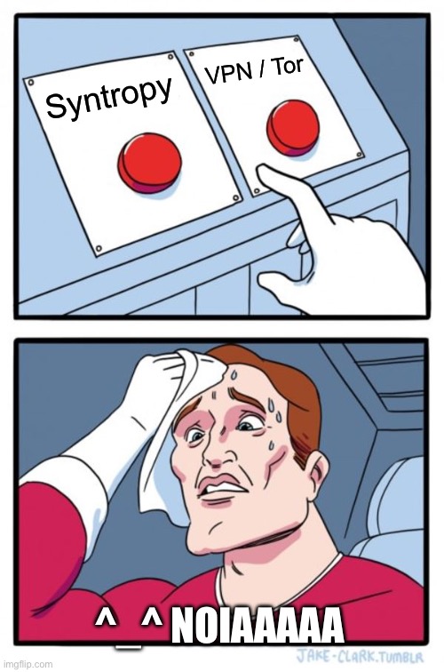 Syntropy | VPN / Tor; Syntropy; ^_^ NOIAAAAA | image tagged in memes,two buttons | made w/ Imgflip meme maker