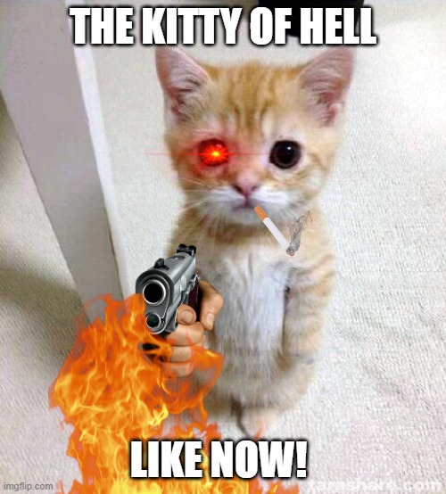 the kitty | THE KITTY OF HELL; LIKE NOW! | image tagged in memes,fun | made w/ Imgflip meme maker