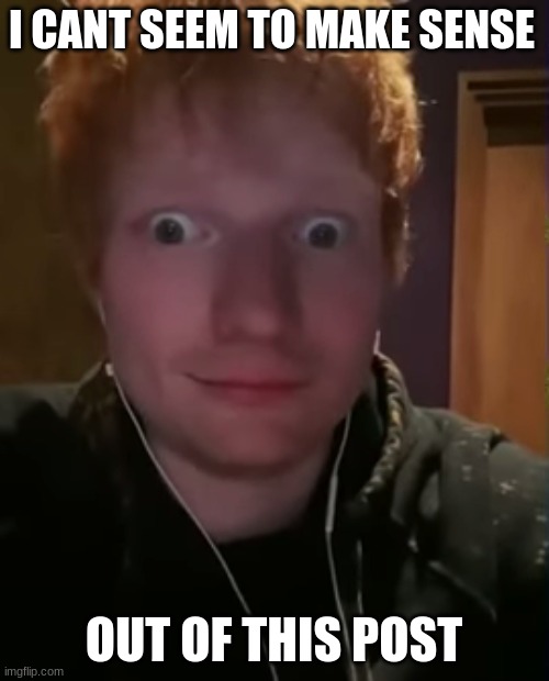 Ed Sheeran with Bulging Eyes | I CANT SEEM TO MAKE SENSE OUT OF THIS POST | image tagged in ed sheeran with bulging eyes | made w/ Imgflip meme maker