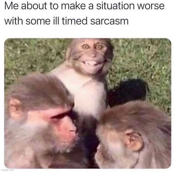image tagged in memes,funny | made w/ Imgflip meme maker