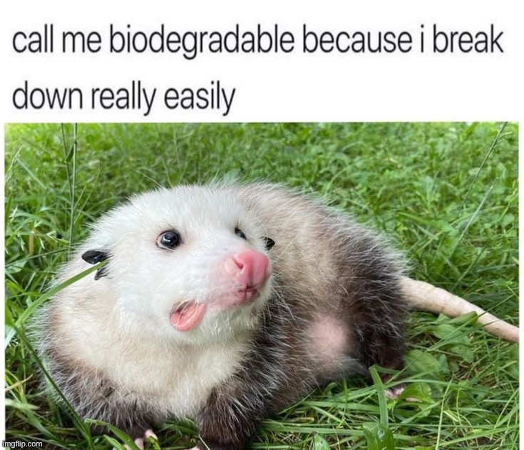 image tagged in memes,funny | made w/ Imgflip meme maker