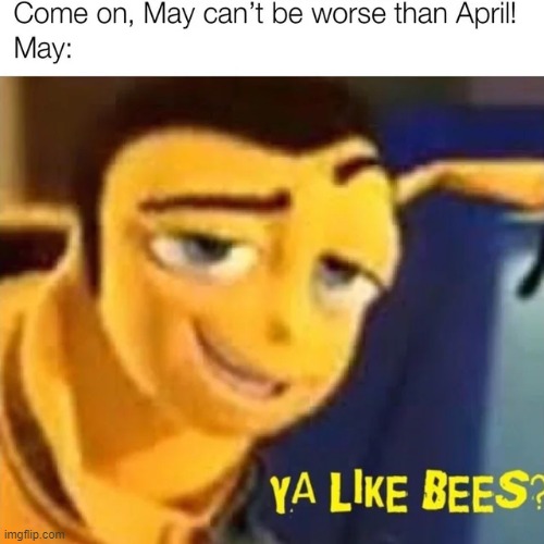 image tagged in memes | made w/ Imgflip meme maker