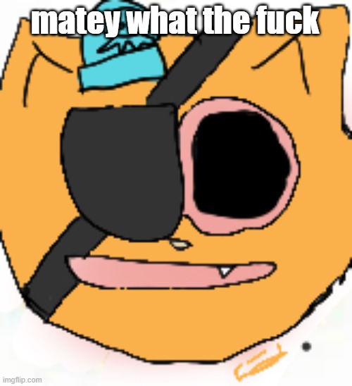 high kwuaze | matey what the fuck | image tagged in high kwuaze | made w/ Imgflip meme maker