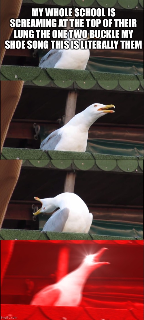 Inhaling Seagull Meme | MY WHOLE SCHOOL IS SCREAMING AT THE TOP OF THEIR LUNG THE ONE TWO BUCKLE MY SHOE SONG THIS IS LITERALLY THEM | image tagged in memes,inhaling seagull | made w/ Imgflip meme maker