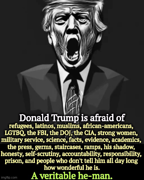 Donald Trump is afraid of; refugees, latinos, muslims, african-americans, 
LGTBQ, the FBI, the DOJ, the CIA, strong women, 

military service, science, facts, evidence, academics, 
the press, germs, staircases, ramps, his shadow, 
honesty, self-scrutiny, accountability, responsibility, 
prison, and people who don't tell him all day long 
how wonderful he is. A veritable he-man. | image tagged in donald trump,fear,women,minorities,law,military | made w/ Imgflip meme maker
