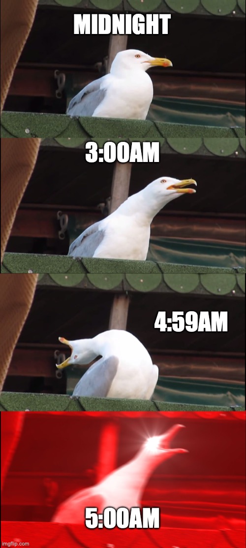 Birds in the morning be like | MIDNIGHT; 3:00AM; 4:59AM; 5:00AM | image tagged in memes,inhaling seagull | made w/ Imgflip meme maker