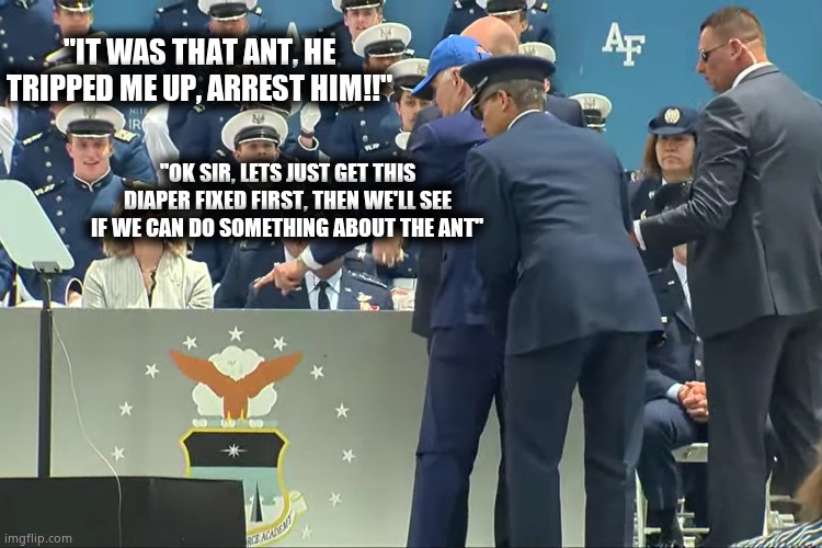 It was that ant, dammit !! | "IT WAS THAT ANT, HE TRIPPED ME UP, ARREST HIM!!"; "OK SIR, LETS JUST GET THIS DIAPER FIXED FIRST, THEN WE'LL SEE IF WE CAN DO SOMETHING ABOUT THE ANT" | image tagged in memes,joe biden,falling down,tripping,too funny,political meme | made w/ Imgflip meme maker
