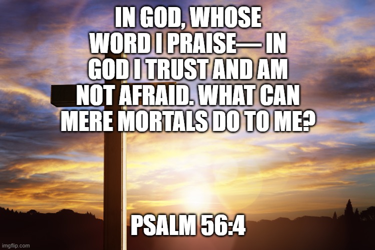 Bible Verse of the Day | IN GOD, WHOSE WORD I PRAISE— IN GOD I TRUST AND AM NOT AFRAID. WHAT CAN MERE MORTALS DO TO ME? PSALM 56:4 | image tagged in bible verse of the day | made w/ Imgflip meme maker