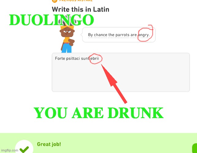 AI gonna AI | DUOLINGO; YOU ARE DRUNK | image tagged in language,ai,computer,learning,duolingo | made w/ Imgflip meme maker