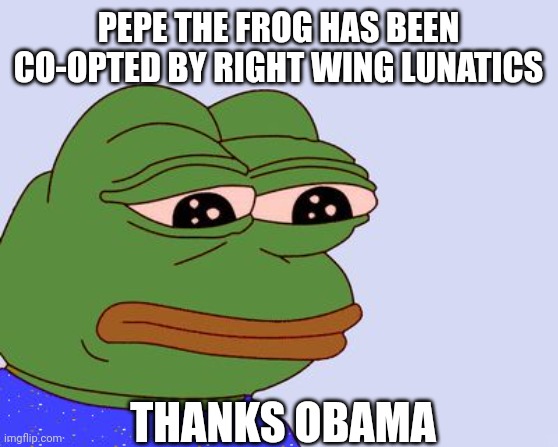Pepe the Frog | PEPE THE FROG HAS BEEN CO-OPTED BY RIGHT WING LUNATICS; THANKS OBAMA | image tagged in pepe the frog | made w/ Imgflip meme maker