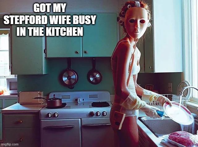Clean Those Dishes | GOT MY STEPFORD WIFE BUSY IN THE KITCHEN | image tagged in unsee juice | made w/ Imgflip meme maker