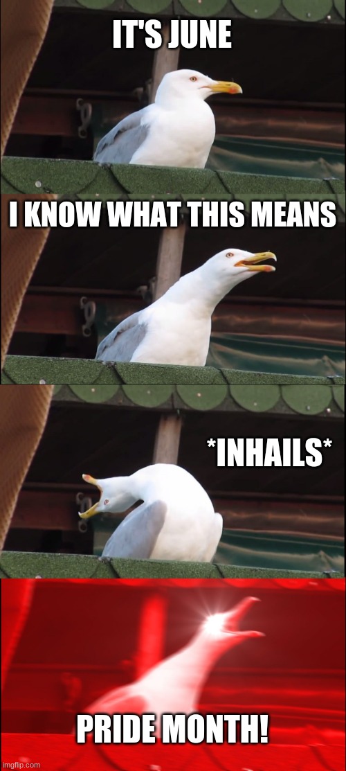 Inhaling Seagull | IT'S JUNE; I KNOW WHAT THIS MEANS; *INHAILS*; PRIDE MONTH! | image tagged in memes,inhaling seagull | made w/ Imgflip meme maker