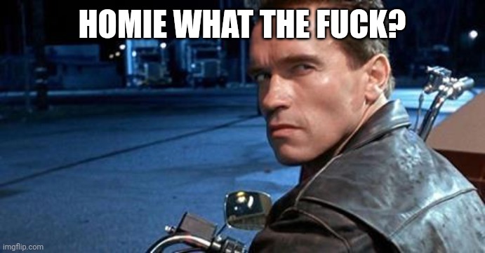 Terminator 2 | HOMIE WHAT THE FUCK? | image tagged in terminator 2 | made w/ Imgflip meme maker