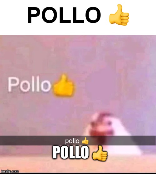 pollo | POLLO 👍; POLLO 👍; pollo 👍 | image tagged in pollo | made w/ Imgflip meme maker
