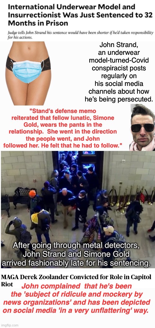 Stranded In Jail | image tagged in domestic terrorist,in cell,cat whipped,shitposter,treason,covidiots | made w/ Imgflip meme maker