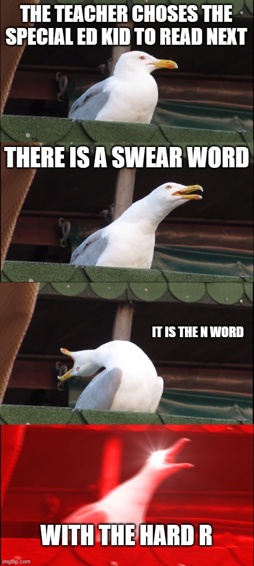 OOOOOOOOOOOOOO HE CUSSED | THE TEACHER CHOSES THE SPECIAL ED KID TO READ NEXT; THERE IS A SWEAR WORD; IT IS THE N WORD; WITH THE HARD R | image tagged in memes,inhaling seagull,dark humor,funny,school | made w/ Imgflip meme maker