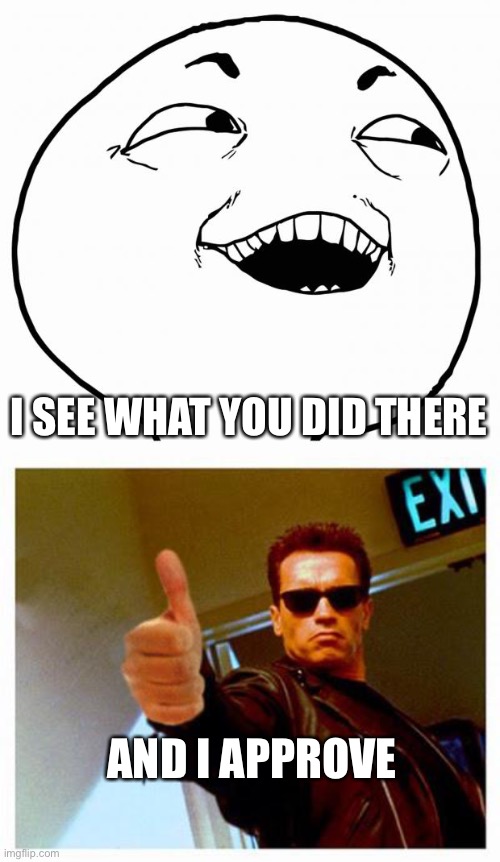 AND I APPROVE I SEE WHAT YOU DID THERE | image tagged in i see what you did there,terminator thumbs up | made w/ Imgflip meme maker