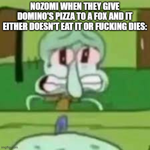 squidward crying | NOZOMI WHEN THEY GIVE DOMINO'S PIZZA TO A FOX AND IT EITHER DOESN'T EAT IT OR FUCKING DIES: | image tagged in squidward crying | made w/ Imgflip meme maker