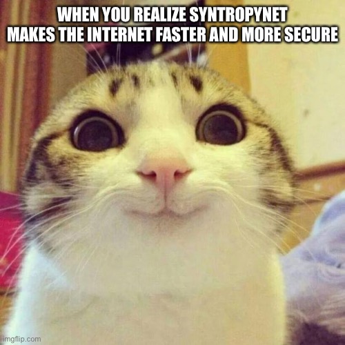 Smiling Cat | WHEN YOU REALIZE SYNTROPYNET MAKES THE INTERNET FASTER AND MORE SECURE | image tagged in memes,smiling cat | made w/ Imgflip meme maker