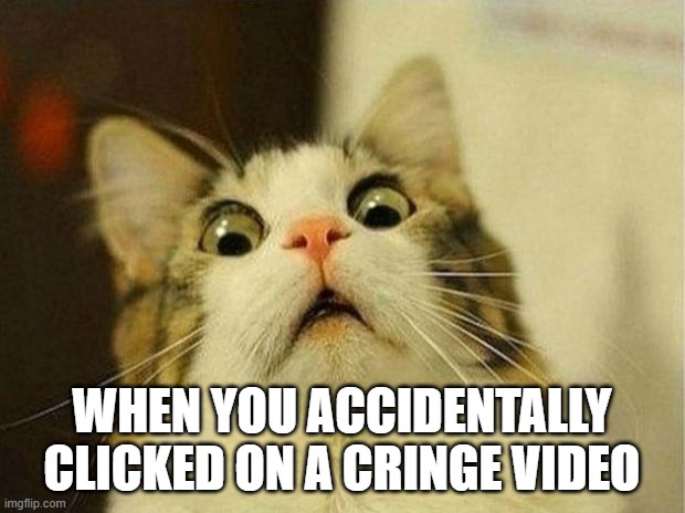 I'm ded | WHEN YOU ACCIDENTALLY CLICKED ON A CRINGE VIDEO | image tagged in memes,scared cat | made w/ Imgflip meme maker
