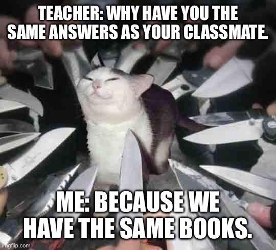 Knife Cat | TEACHER: WHY HAVE YOU THE SAME ANSWERS AS YOUR CLASSMATE. ME: BECAUSE WE HAVE THE SAME BOOKS. | image tagged in knife cat,memes | made w/ Imgflip meme maker