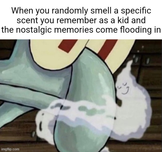 True | When you randomly smell a specific scent you remember as a kid and the nostalgic memories come flooding in | image tagged in memes,funny,relatable | made w/ Imgflip meme maker